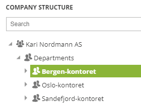 Company structure